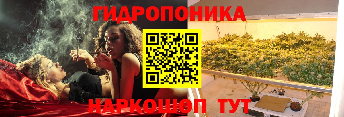 Марихуана план Северск